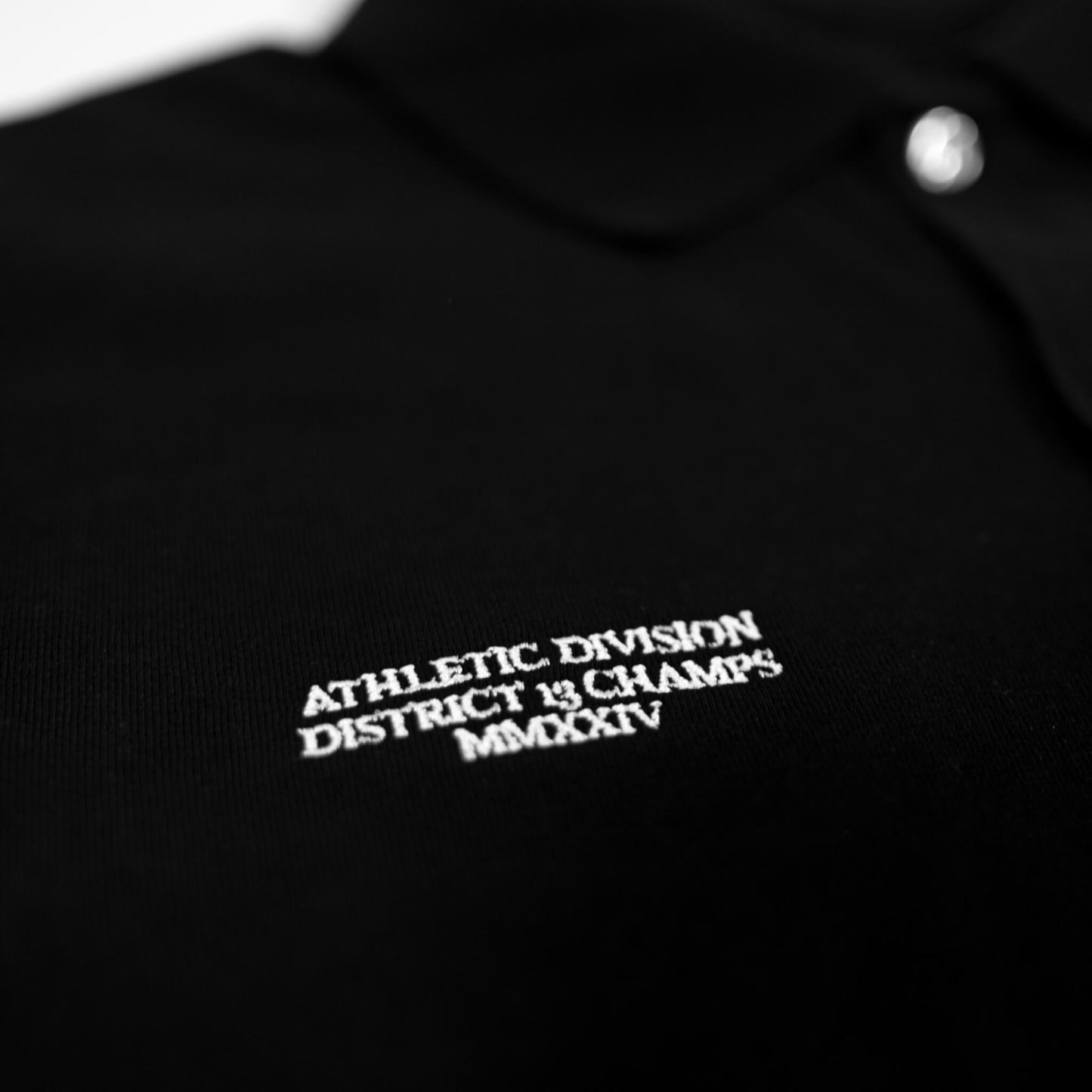 MMXXIV Polo Shirt